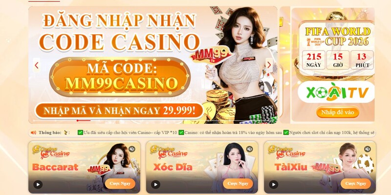 khai-quat-chung-thong-tin-co-ban-ve-trang-chu- (1)