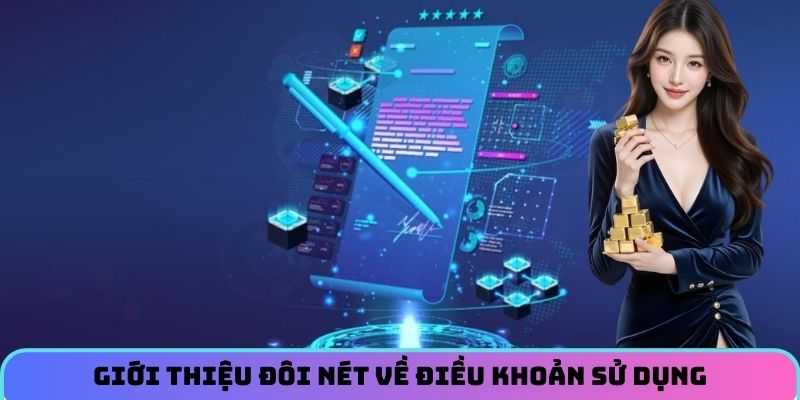 gioi-thieu-doi-net-ve-dieu-khoan-su-dung
